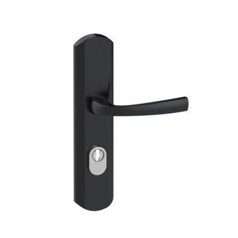 Ensemble de poignées de sécurité MUZE EA195 ONYX Noir mat - ASSA ABLOY BEZAULT Noir 245 mm                                                       195 mm                          56 mm              Clé 