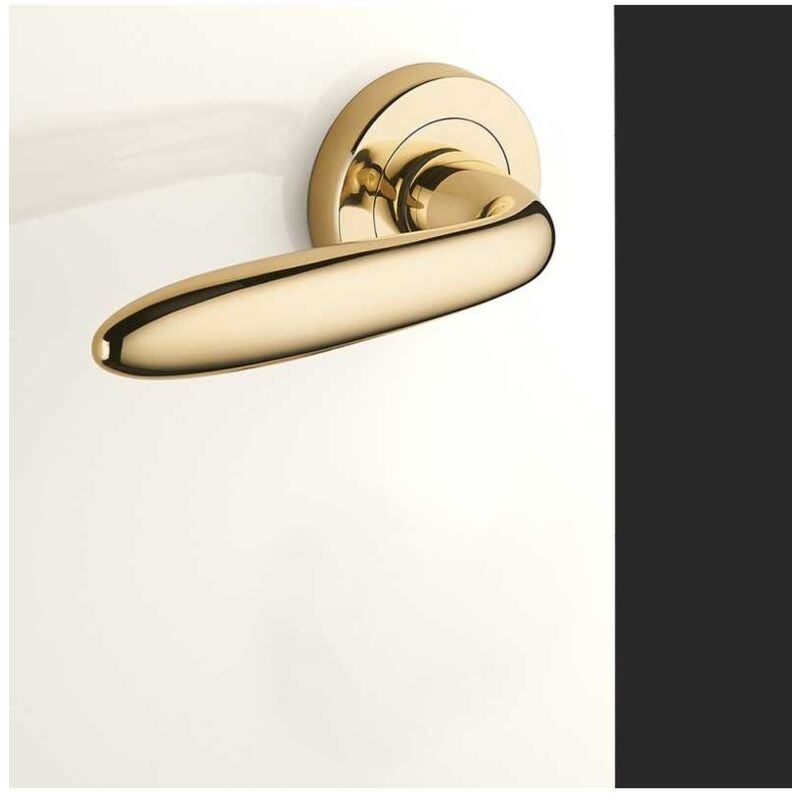 Ensemble de Poignées sur Rosaces en Laiton - DCG - Modèle Aster - Laiton Poli