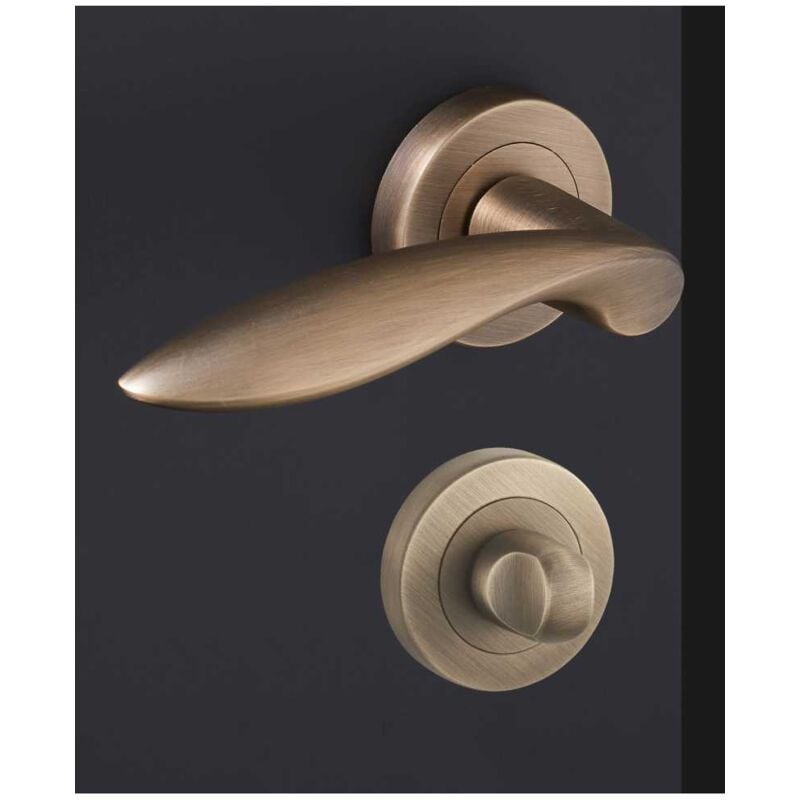 Ensemble de Poignées sur Rosaces en Laiton - DCG - Modèle Salicorne - Bronze Vieilli - Condamnation