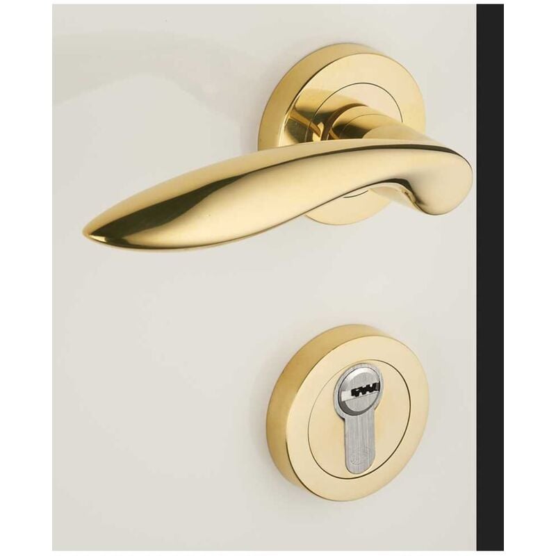 Ensemble de Poignées sur Rosaces en Laiton - DCG - Modèle Salicorne - Laiton Poli - Clé Y