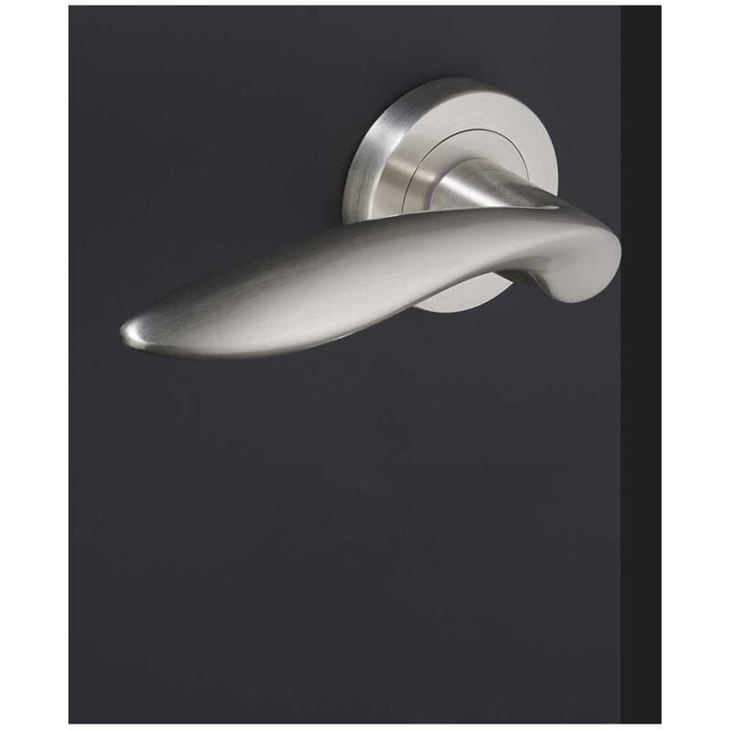 Ensemble de Poignées sur Rosaces en Laiton - DCG - Modèle Salicorne - Nickel Satiné