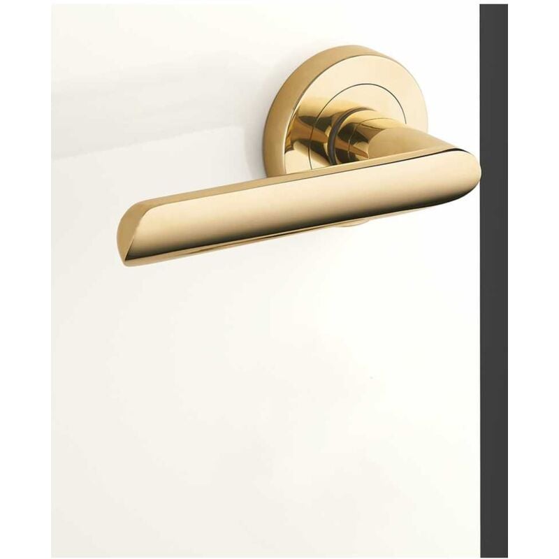 Ensemble de Poignées sur Rosaces en Laiton - DCG - Modèle Spartine - Laiton Poli - Clé L