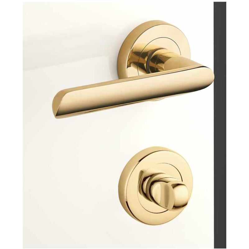 Ensemble de Poignées sur Rosaces en Laiton - DCG - Modèle Spartine - Laiton Poli - Condamnation