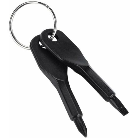Ensemble de Porte-clés Mini Tournevis, tête Plate Portable en Acier Inoxydable et Outil de Jeu de Tournevis cruciforme Outil EDC Multifonctionnel extérieur Mini Outil de Poche avec Porte-clés