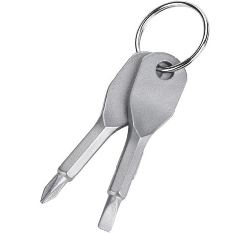 Ensemble de Porte-clés Mini Tournevis, tête Plate Portable en Acier Inoxydable et Outil de Jeu de Tournevis cruciforme Outil EDC Multifonctionnel extérieur Mini Outil de Poche avec Porte-clés