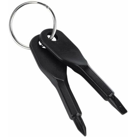 Ensemble de Porte-clés Mini Tournevis, tête Plate Portable en Acier Inoxydable et Outil de Jeu de Tournevis cruciforme Outil EDC Multifonctionnel extérieur Mini Outil de Poche avec Porte-clés-LIAIKI