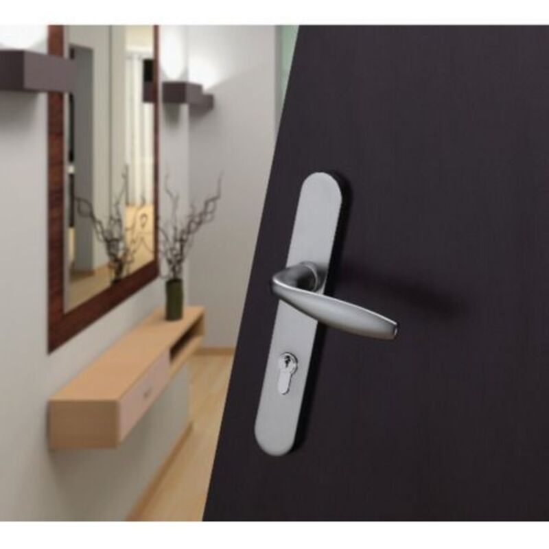 Hoppe - Ensemble de porte plaque large New york Clé i argent F1 1810/300M - 195mm - entr.7/70 C.7mm - 48/57 - 3761518