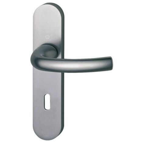 Ensemble de porte tokyo finition inox ea 165 - bec de cane