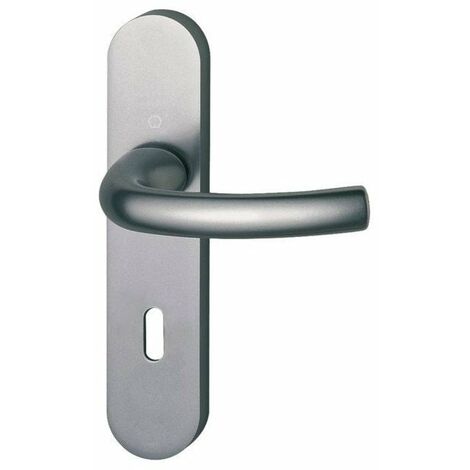 Ensemble De Porte Tokyo Finition Inox - Ea165 - Cle I