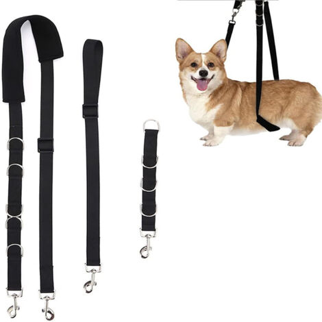 Ensemble de toilettage pour chien 3 pièces avec sangle d'extension, accessoires de lavage, de coupe et de séchage, table de toilettage et anneau pour animal de compagnie  noir.
