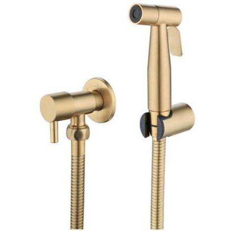 Ensemble de toilette deux pièces, 01 Pistolet de douche avec robinet d'angle en métal brossé, compatible avec la douche