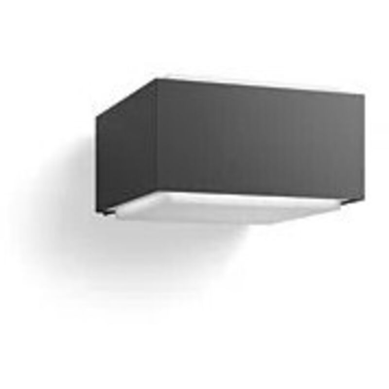 Ensemble d'éclairage extérieur Philips myGarden Hoverfly : Applique murale noire IP44 + Ampoule led filament E27 4,3W (équivalent 40W)