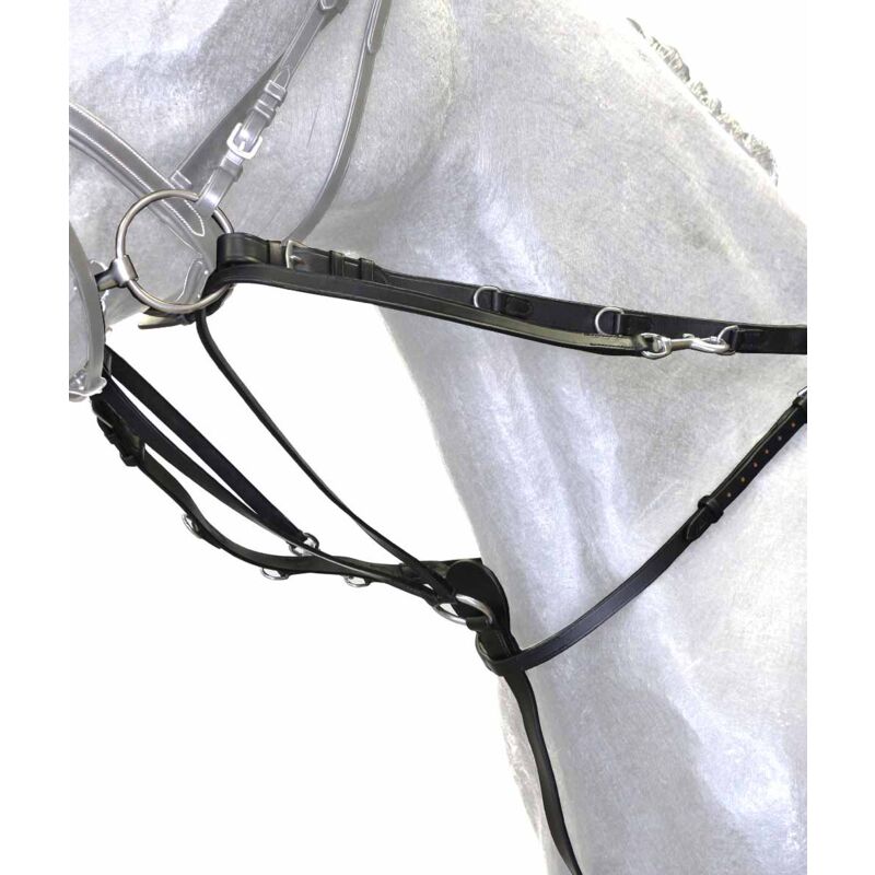 Sartore - marrone - Ensemble d'entraînement Tiderman avec rênes et plastron