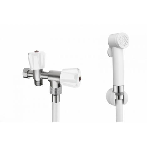 Ensemble Douchette WC BOSSINI Paloma à Implusion avec Flexible L1,25m et Support Mural Blanc- E44001113
