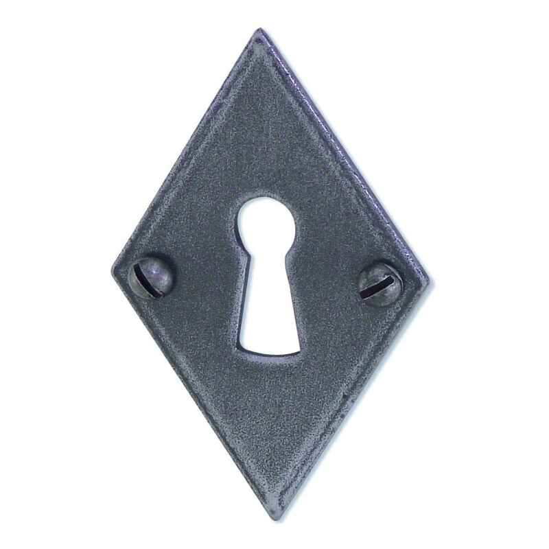 Ensemble Entraygues Brionne fer grise Clé l sur rosace 20125 46x69x3 - vis 2.5x10 - ROZ-V.6259011SP