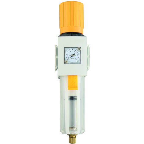 Ensemble FRL RS PRO, G 1/4, Filtration 40µ ( Prix pour 1 )