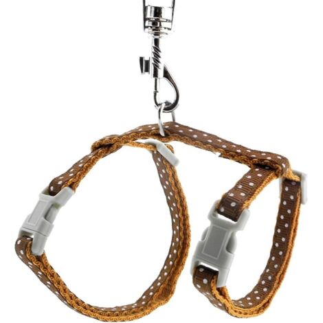 Ensemble harnais et laisse de plomb pour chat pour animaux de compagnie marron