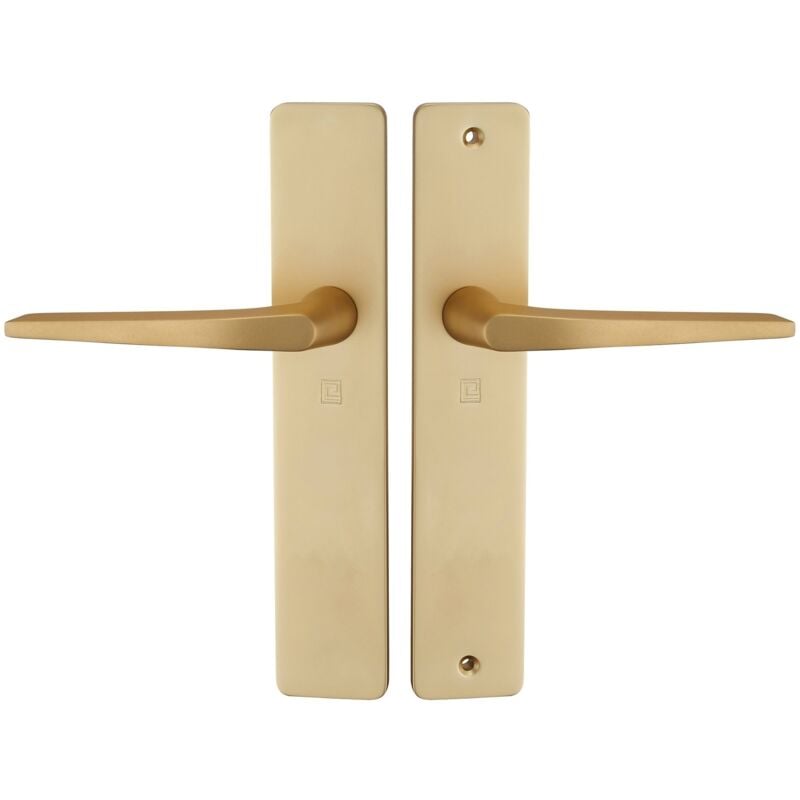 Ensemble sur plaque HIONNA type bec de cane champagne - HERACLES - B-HIONNA-02