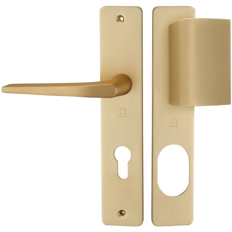 Heracles - Ensemble sur plaque hionna type SGN2 palière champagne B-HIONNA-20