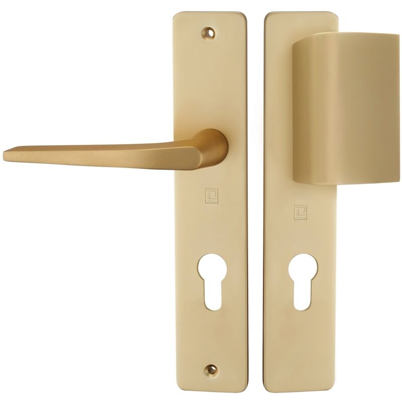 Heracles - Ensemble sur plaque hionna type clé i palière champagne B-HIONNA-09