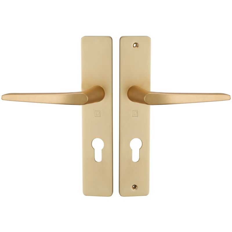 Ensemble sur plaque hionna type clé i réhaussé intérieur/extérieur champagne Heracles B-HIONNA-21