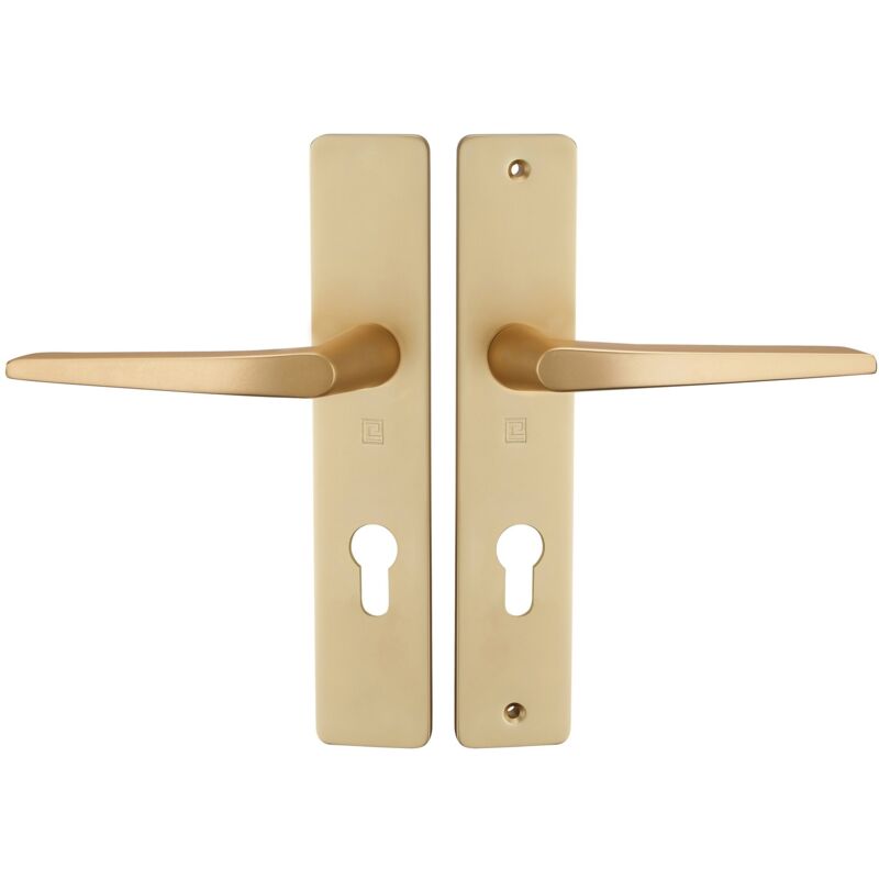 Heracles - Ensemble sur plaque hionna type clé i réhaussé côté extérieur champagne B-HIONNA-22