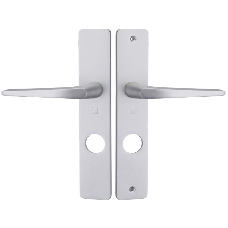 Heracles - Ensemble sur plaque hionna à trou diamètre 26,5mm argent B-HIONNA-15