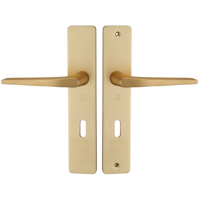 Heracles - Ensemble sur plaque hionna type clé l champagne B-HIONNA-06