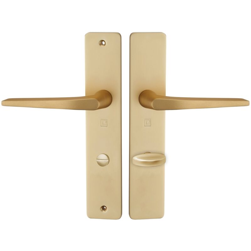 Ensemble sur plaque hionna type condamnation champagne Heracles B-HIONNA-08