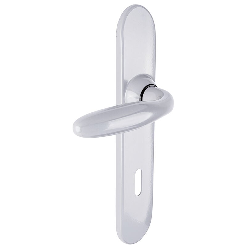 Bezault Sas - Ensemble sur plaques Opera type clé l chromé velours - vachette - 051208