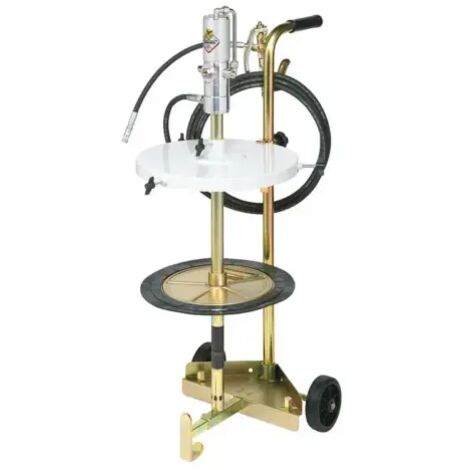 Ensemble pneumatique graisse 50/60kg 50:1 avec pistolet tuyau 4m et chariot 2 roues RAASM