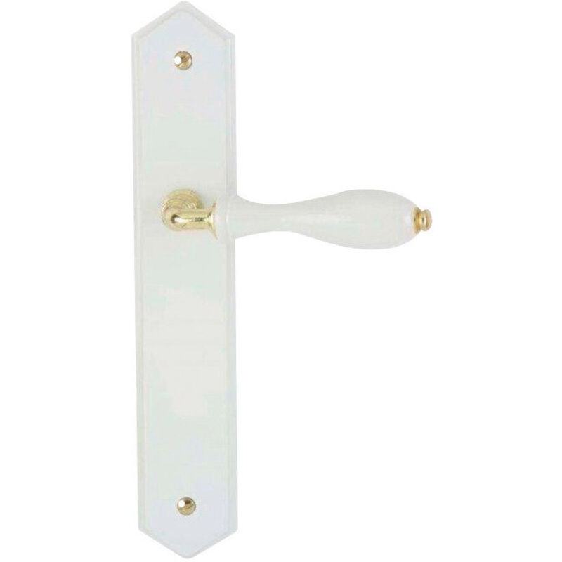 Ensemble Poignée de Porte Rustique Bb Bec de – Cane