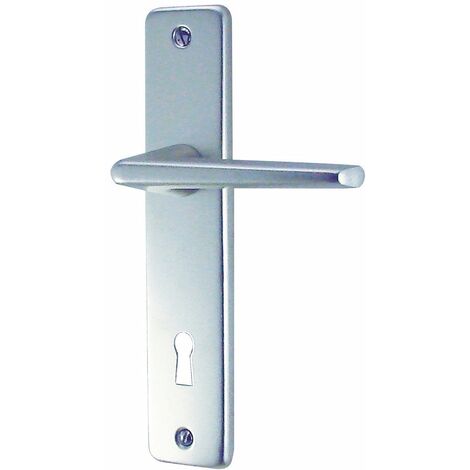 Ensemble Poignée Sur Plaque Aluminium Argent 165 Mm Clé L – Gets (dt 2000)