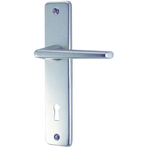 Ensemble poignée sur plaque aluminium argent 165 mm Clé L – GETS (DT 2000)