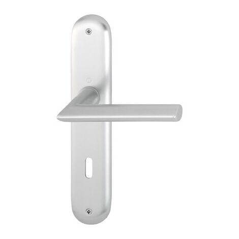 Ensemble porte-serrure profil, 53/273P/1140GRT-SST F1 8 PZ-72
