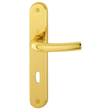 Ensemble pour porte palière Tokyo laiton poli cle I - HOPPE