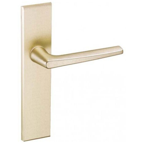 ENSEMBLE RIV-JUNIOR TYPE BEC DE CANE FINITION CHAMPAGNE - VACHETTE - 014403