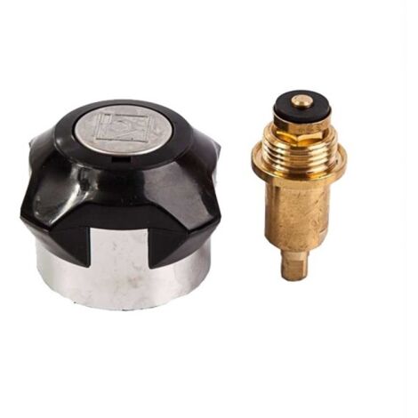 Ensemble robinet + axe douche 4401040102 Astralpool