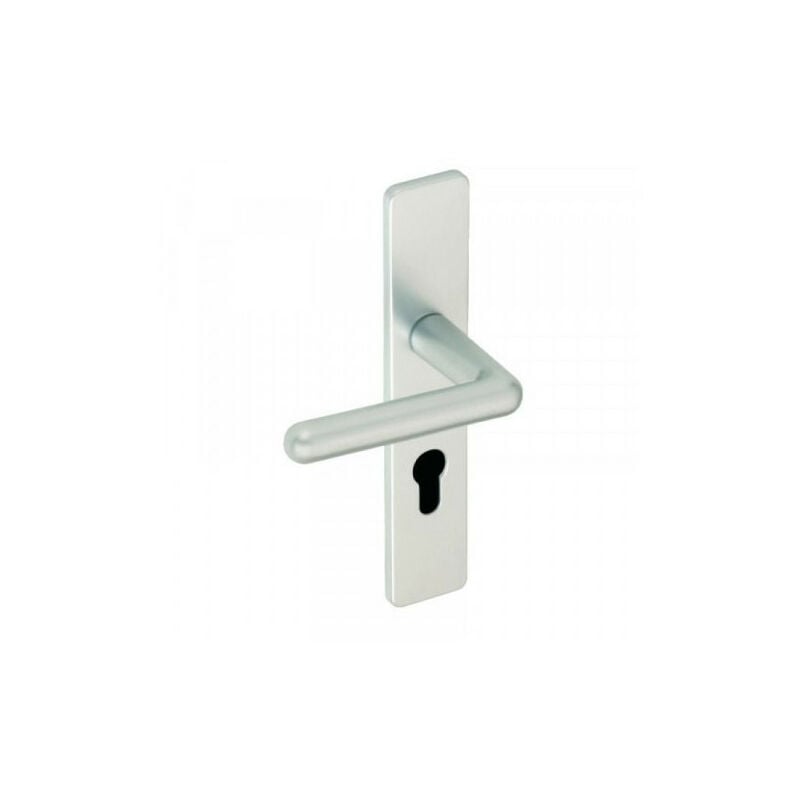 Vachette - Ensemble de poignées de porte sur plaque golf Argent Argent Clé i rallongé