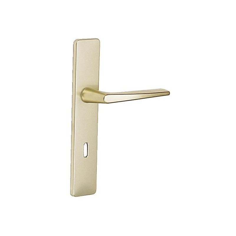 Ensemble sur grande plaque en aluminium anodisé - Ton champagne - riviera bec-de-cane Vachette