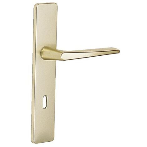Ensemble sur grande plaque en aluminium anodisé - Ton champagne - RIVIERA bec-de-cane - VACHETTE