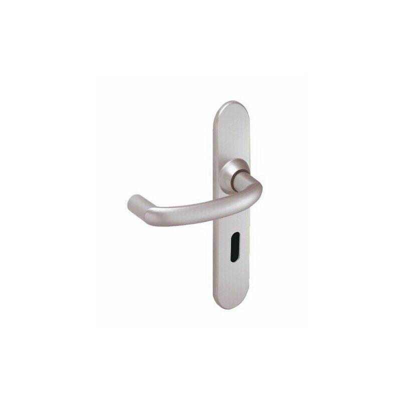 Vachette - Ensemble de poignées de porte alto - Chromé velours Argent 215 mm Chromé velours Clé l