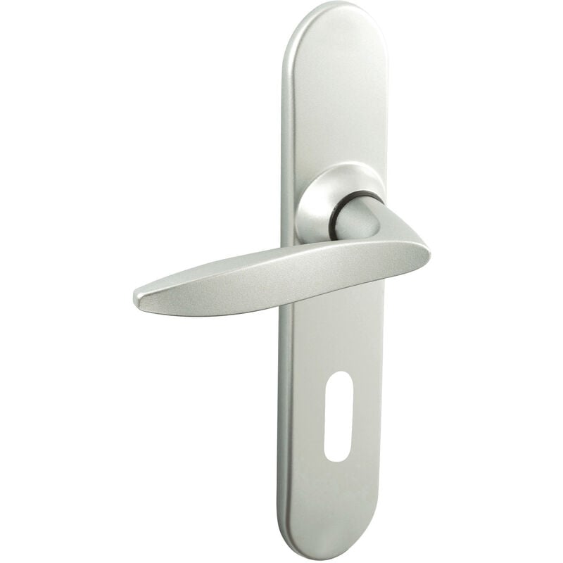 Vachette - Ensemble sur plaques twist petit model clé l finition chromé velours 069127