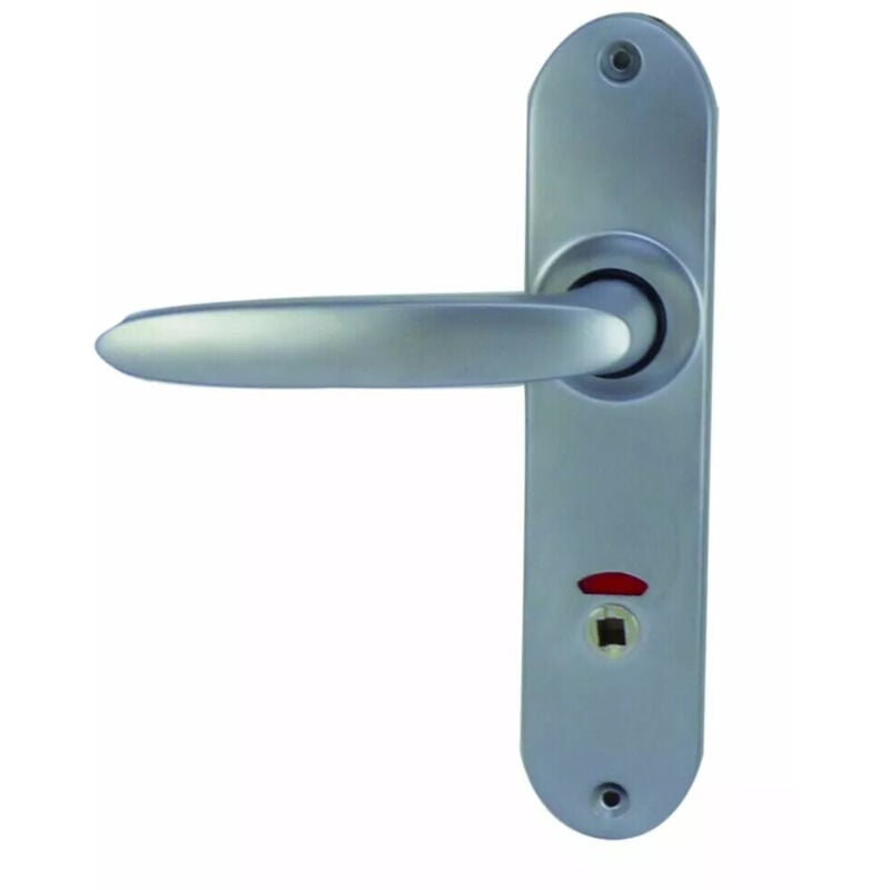 Vachette - Ensemble porte jazz sur petite plaque (entraxe 165 mm) - 40 mm - condamnation avec voyant - chromé velours