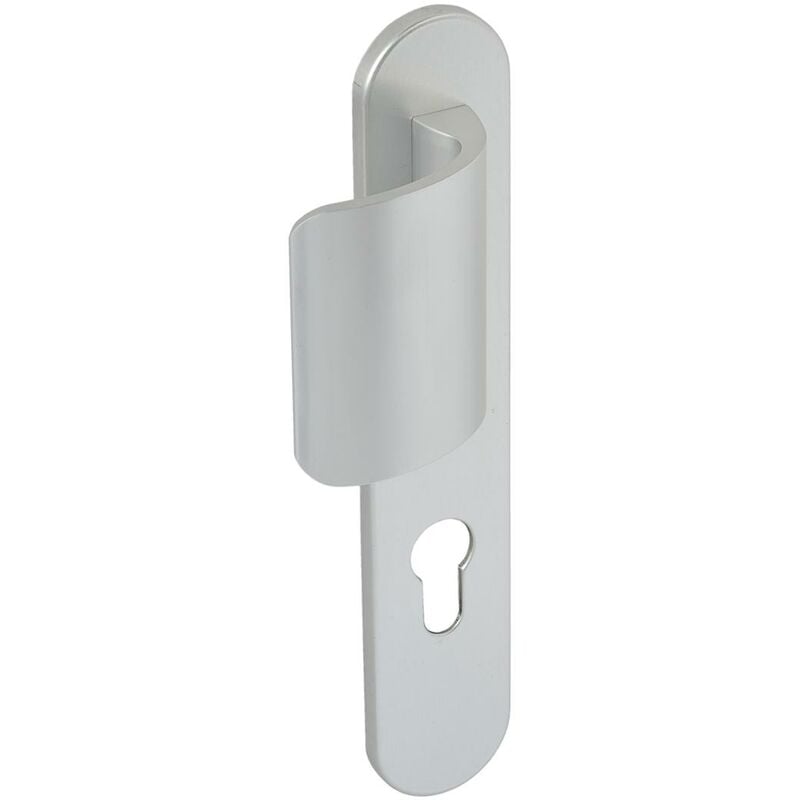 Vachette - Ensemble sur plaques Logio entraxe 195mm type P534 palière cle i finition argent 200814