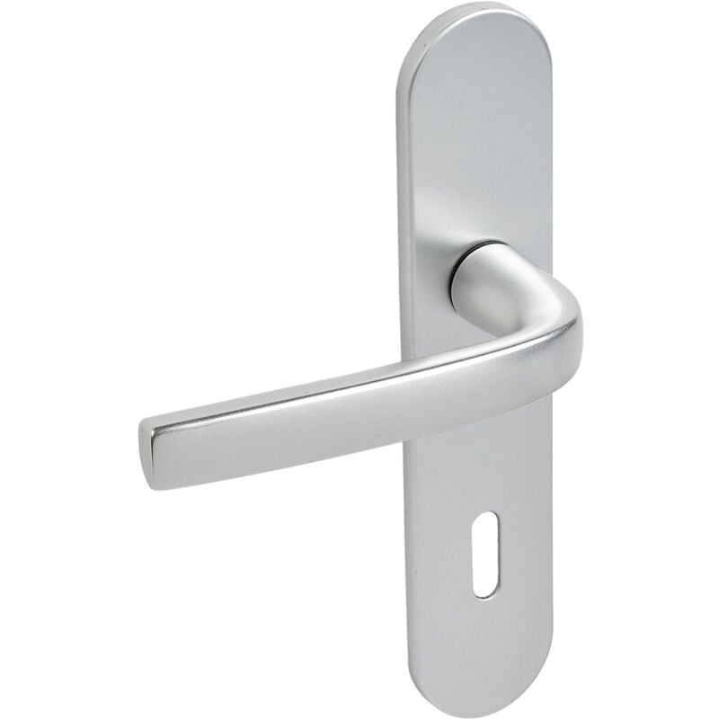 Ensemble sur plaques Logio entraxe 195mm type cle l finition argent Vachette 200808