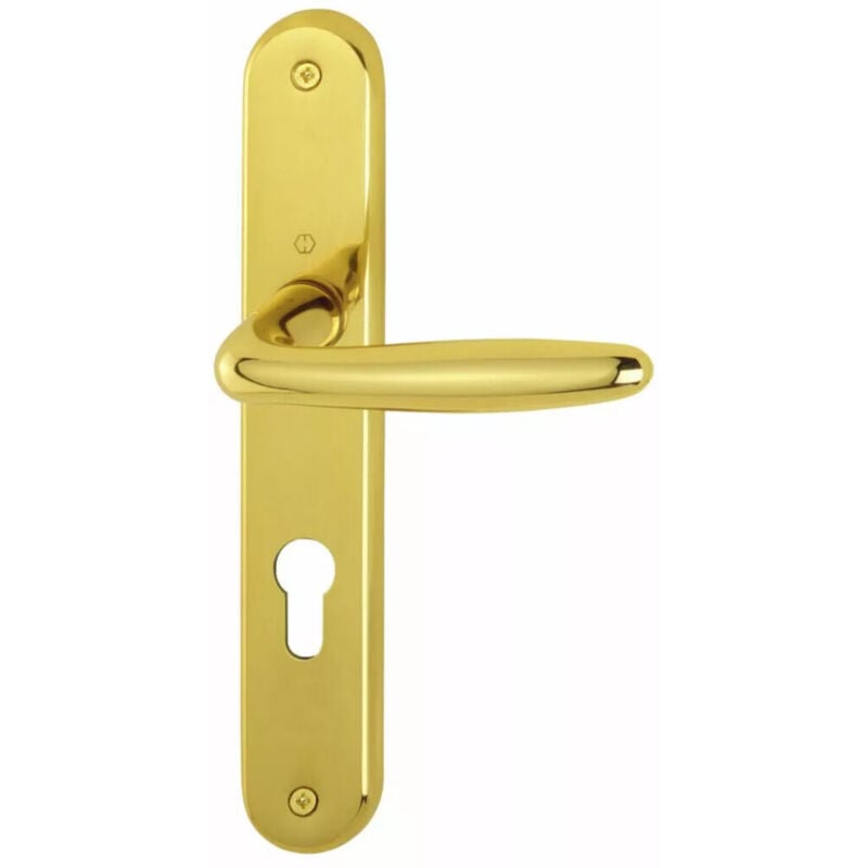 Hoppe - Ensemble sur plaque 234 x 38 mm en laiton poli - Pour porte épaisseur 40 à 45 mm - roissy condamnation