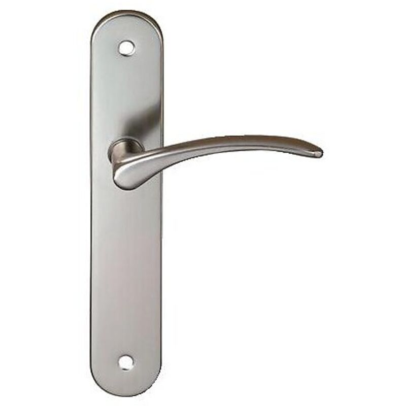 Ensemble sur plaque béquille zamak plaque acier Diane finition nickel mat entraxe 195 mm clé i Cadap