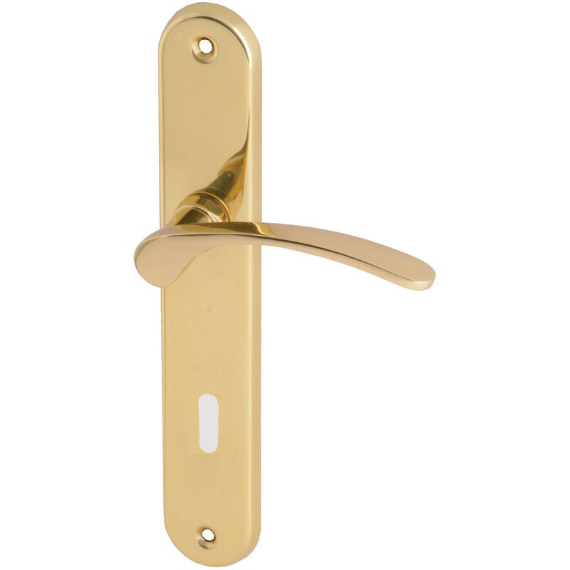 Heracles - Ensemble sur plaque morgan clé l finition laiton poli B-MORGA-LP03