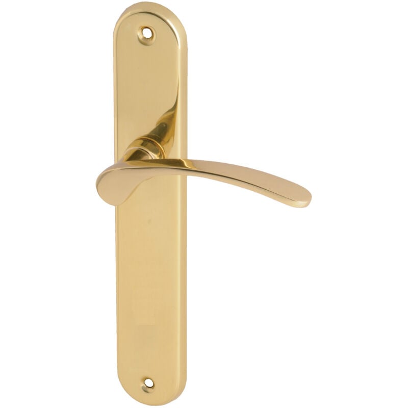 Heracles - Ensemble sur plaque morgan bec de cane finition laiton poli B-MORGA-LP01